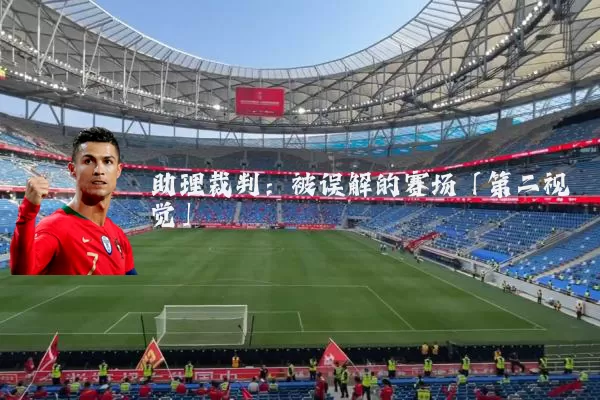 助理裁判:被误解的赛场「第二视觉」